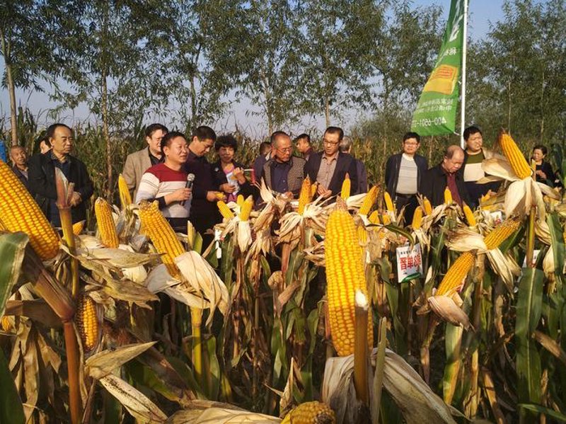 临汾烟酒批发：寻找优质货源的秘密武器